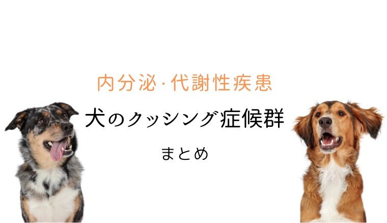 犬のクッシング症候群 まとめ 大和市の花岡動物病院ブログ