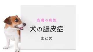 犬のクッシング症候群 まとめ 大和市の花岡動物病院ブログ