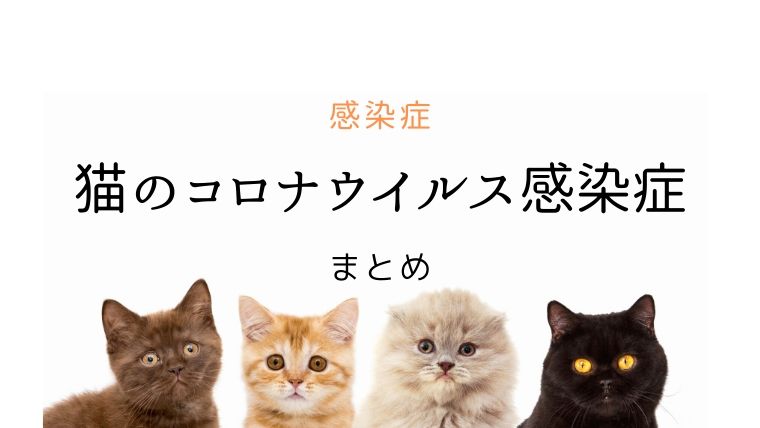 猫のコロナウイルス感染症 猫伝染性腹膜炎 Fip と猫腸ウイルス Fecv 感染症 大和市の花岡動物病院ブログ