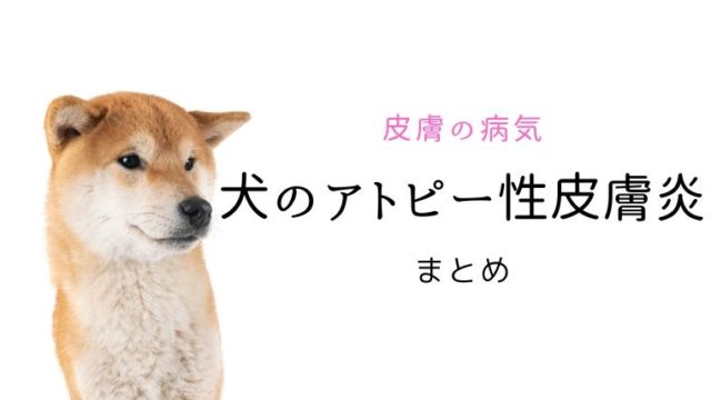 犬と猫の耳ヒゼンダニ症 耳ダニ まとめ 大和市の花岡動物病院ブログ