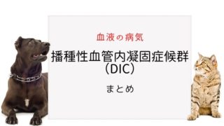 犬 DIC,猫 DIC
