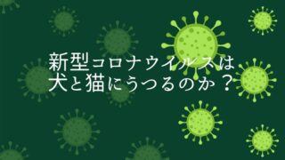 新型コロナウイルス 犬猫