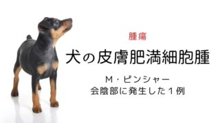 犬 肥満細胞腫