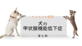 犬猫の血液検査 T4 総サイロキシン 大和市の花岡動物病院ブログ