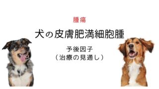 犬 皮膚肥満細胞腫