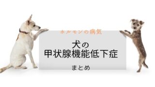 犬 甲状腺機能低下症