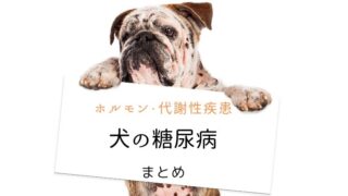 犬 糖尿病