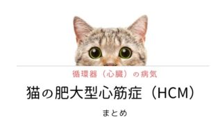 猫 肥大型心筋症(HCM)
