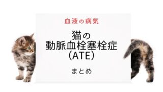 猫 血栓