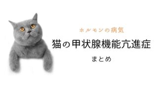 猫 甲状腺機能亢進症