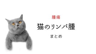 猫 リンパ腫
