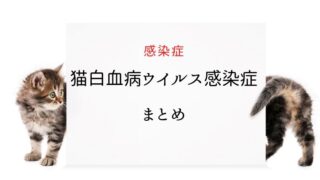 猫白血病ウイルス(FeLV)