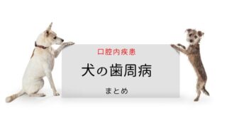 犬の歯周病