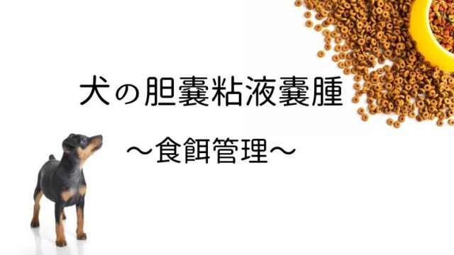 犬の膵炎 食事療法 栄養管理 大和市の花岡動物病院ブログ