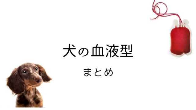 猫の血液検査 Saa 血清アミロイドa 大和市の花岡動物病院ブログ 猫の血液検査 Saa 血清アミロイドa 大和市の花岡動物病院ブログ