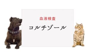 犬猫の血液検査 T4 総サイロキシン 大和市の花岡動物病院ブログ 犬猫の血液検査 T4 総サイロキシン 大和市の花岡動物病院ブログ