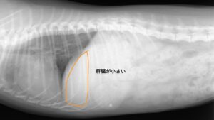 犬 PSS