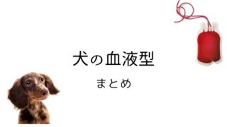 犬 血液型