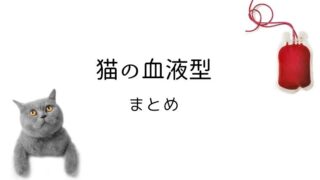 猫 血液型