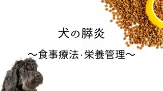 犬 膵炎 食事