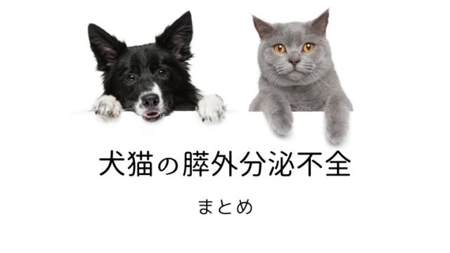 年08月の記事一覧 大和市の花岡動物病院ブログ 年08月の記事一覧 大和市の花岡動物病院ブログ
