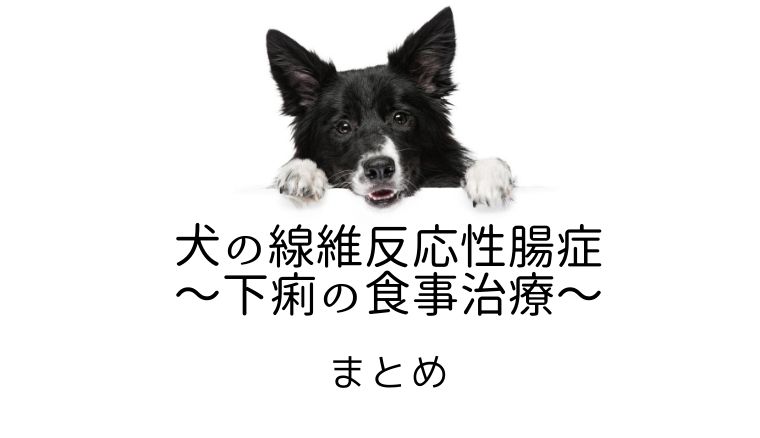 犬の線維反応性腸症 下痢の食事治療 まとめ 大和市の花岡動物病院ブログ