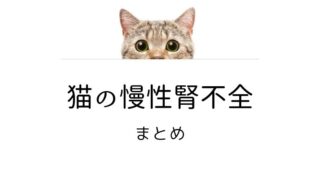 猫 慢性腎不全