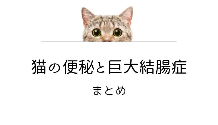 うんち しない 猫