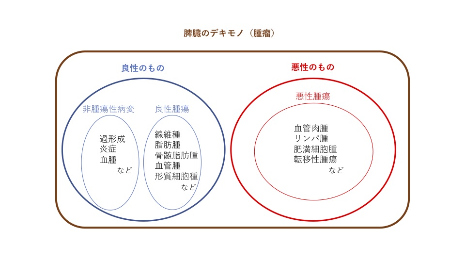 脾臓 腫瘍