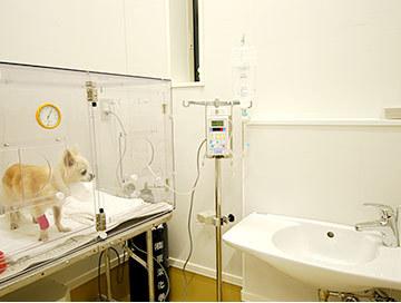 ICU