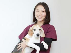 吉田茉利子 獣医師（旧姓 花岡）