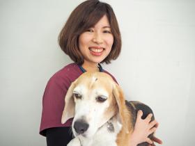 石澤友佳子 獣医師