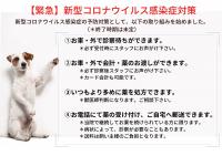 新型コロナウイルス感染症予防対策としての取り組み