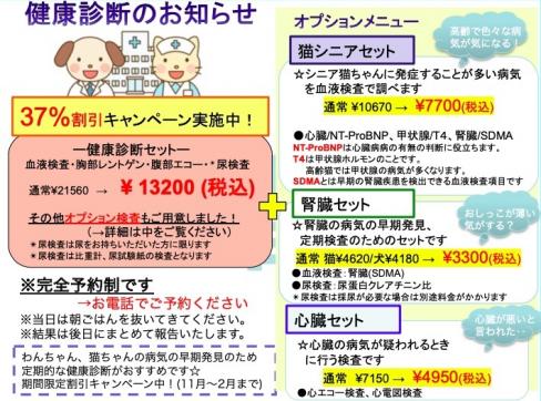 ★ 秋・冬健康診断キャンペーンのお知らせ ★