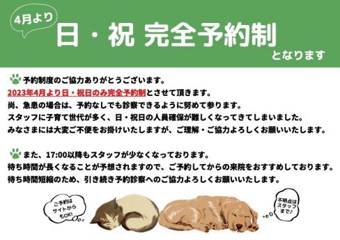日曜、祝日完全予約制のご案内