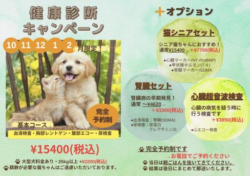 ★ 秋・冬健康診断キャンペーンのお知らせ ★