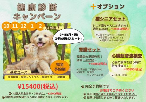 ★ 秋・冬健康診断キャンペーンのお知らせ ★