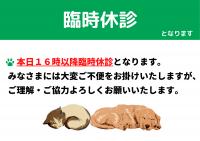 ２月２１日(土)１６時以降臨時休診となります