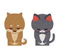 初診の患者様受け入れ再開のお知らせ