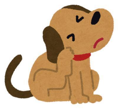 犬フィラリア症検査キャンペーン4月1日スタートします
