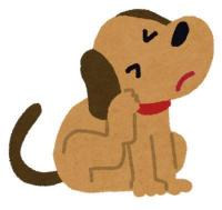 犬フィラリア症検査キャンペーン4月1日スタートします