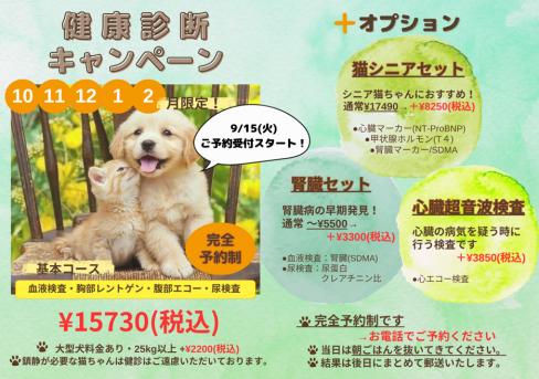 ★ 秋・冬健康診断キャンペーンのお知らせ ★