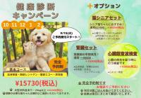 ★ 秋・冬健康診断キャンペーンのお知らせ ★